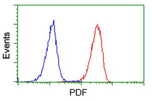 PDF Antibody in Flow Cytometry (Flow)