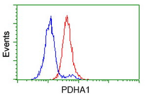 PDHA1 Antibody in Flow Cytometry (Flow)