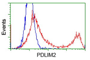 PDLIM2 Antibody in Flow Cytometry (Flow)