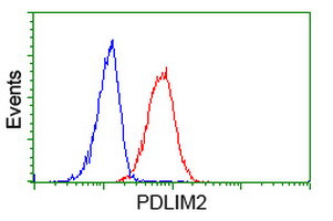 PDLIM2 Antibody in Flow Cytometry (Flow)