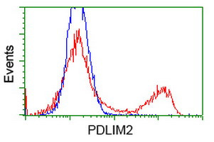 PDLIM2 Antibody in Flow Cytometry (Flow)