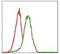 PDX1 Antibody in Flow Cytometry (Flow)