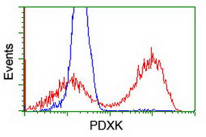 PDXK Antibody in Flow Cytometry (Flow)