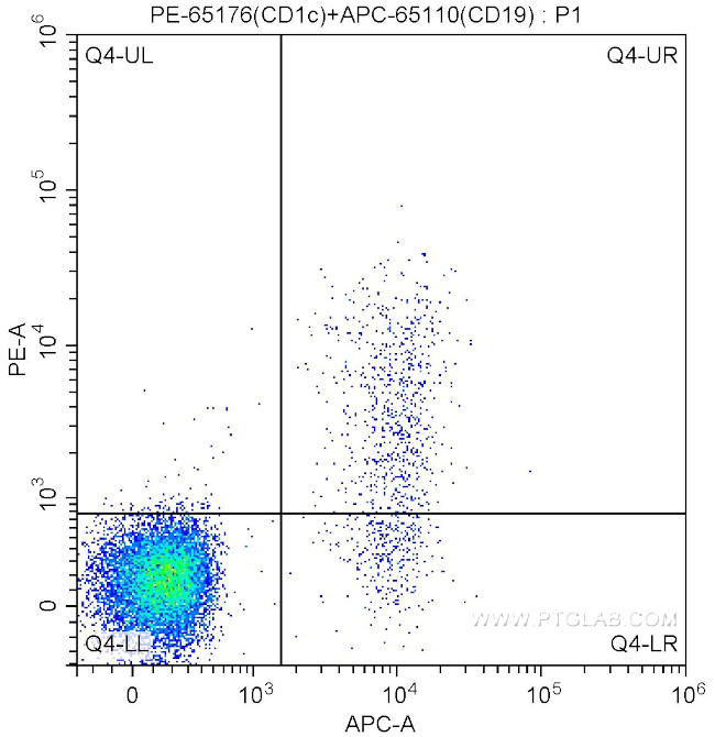 CD1c Antibody in Flow Cytometry (Flow)