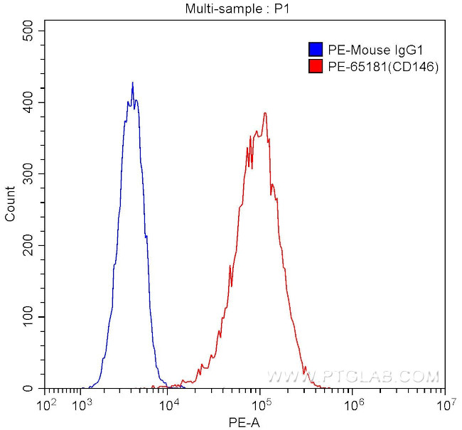 CD146 Antibody in Flow Cytometry (Flow)