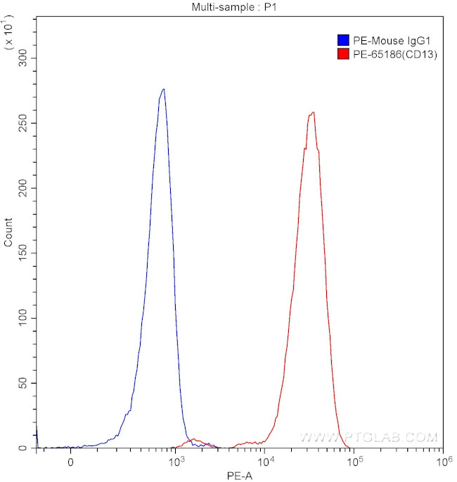 CD13 Antibody in Flow Cytometry (Flow)