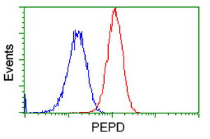 PEPD Antibody in Flow Cytometry (Flow)