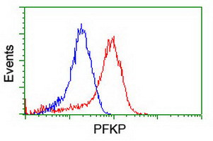 PFKP Antibody in Flow Cytometry (Flow)