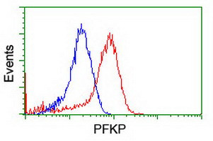 PFKP Antibody in Flow Cytometry (Flow)