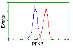 PFKP Antibody in Flow Cytometry (Flow)