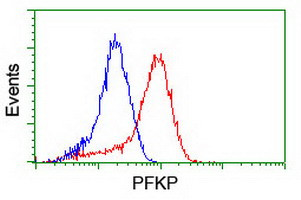 PFKP Antibody in Flow Cytometry (Flow)