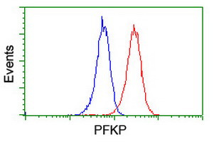 PFKP Antibody in Flow Cytometry (Flow)