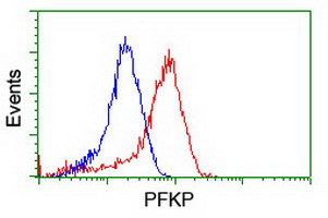 PFKP Antibody in Flow Cytometry (Flow)