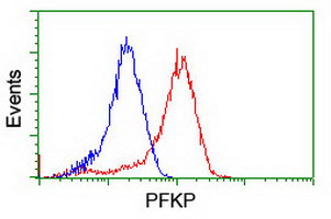 PFKP Antibody in Flow Cytometry (Flow)