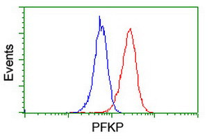 PFKP Antibody in Flow Cytometry (Flow)