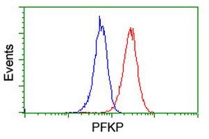 PFKP Antibody in Flow Cytometry (Flow)