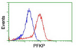 PFKP Antibody in Flow Cytometry (Flow)