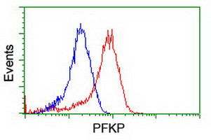 PFKP Antibody in Flow Cytometry (Flow)