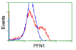 PFN1 Antibody in Flow Cytometry (Flow)