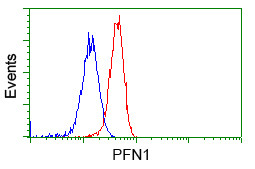 PFN1 Antibody in Flow Cytometry (Flow)