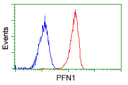 PFN1 Antibody in Flow Cytometry (Flow)