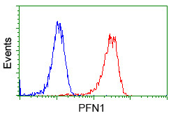 PFN1 Antibody in Flow Cytometry (Flow)