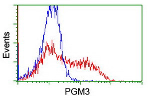 PGM3 Antibody in Flow Cytometry (Flow)