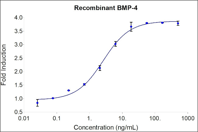 Human BMP-4 Protein in Functional Assay (Functional)