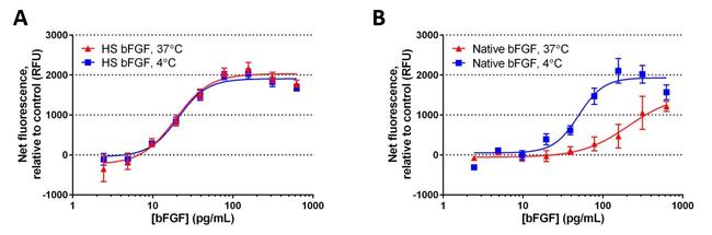 Human Heat Stable bFGF Protein in Functional Assay (Functional)