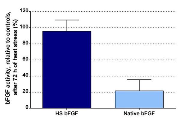 Human Heat Stable bFGF Protein in Functional Assay (Functional)