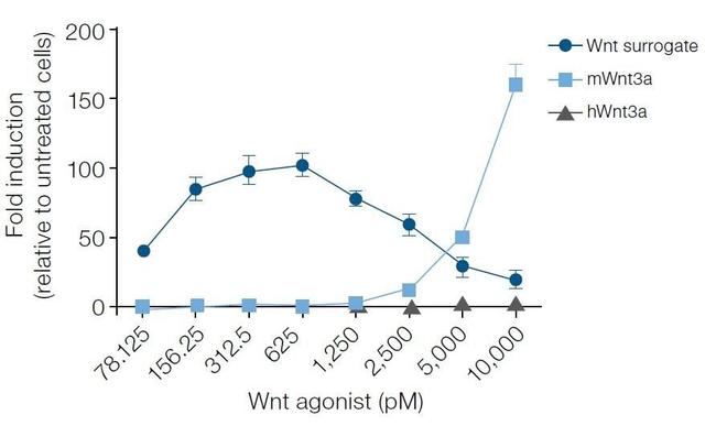 Wnt Surrogate-Fc Fusion Protein in Functional Assay (FN)