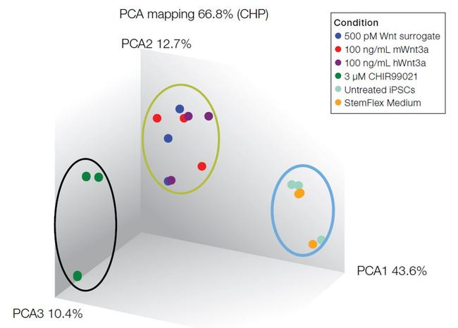 Wnt Surrogate-Fc Fusion Protein in Functional Assay (FN)