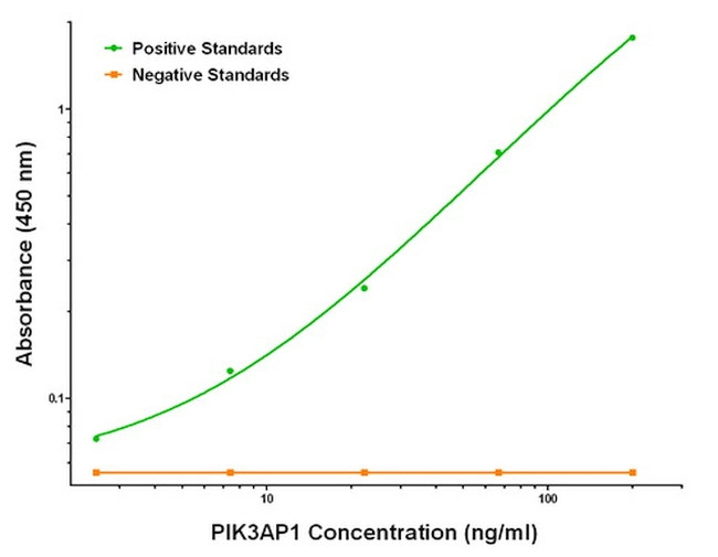 PIK3AP1 Antibody in ELISA (ELISA)