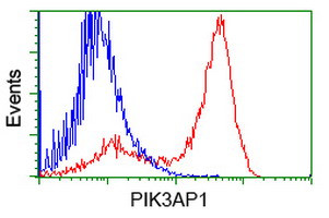 PIK3AP1 Antibody in Flow Cytometry (Flow)