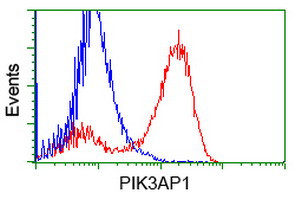 PIK3AP1 Antibody in Flow Cytometry (Flow)