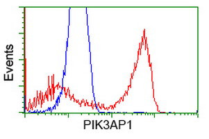 PIK3AP1 Antibody in Flow Cytometry (Flow)