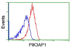 PIK3AP1 Antibody in Flow Cytometry (Flow)