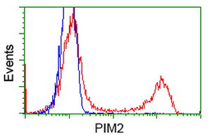 PIM2 Antibody in Flow Cytometry (Flow)