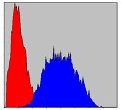 LIMS1 Antibody in Flow Cytometry (Flow)