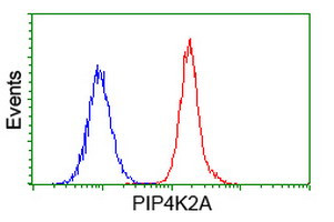 PIP4K2A Antibody in Flow Cytometry (Flow)