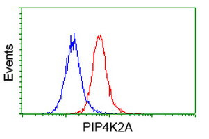 PIP4K2A Antibody in Flow Cytometry (Flow)