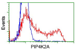 PIP4K2A Antibody in Flow Cytometry (Flow)