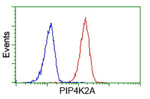 PIP4K2A Antibody in Flow Cytometry (Flow)