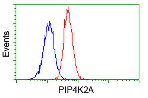 PIP4K2A Antibody in Flow Cytometry (Flow)