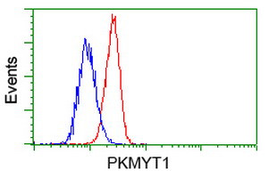 PKMYT1 Antibody in Flow Cytometry (Flow)