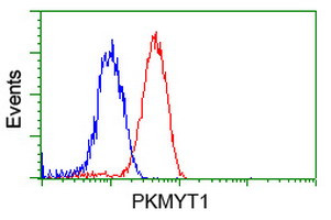 PKMYT1 Antibody in Flow Cytometry (Flow)