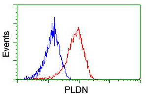 PLDN Antibody in Flow Cytometry (Flow)