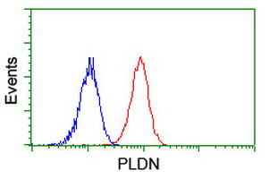 PLDN Antibody in Flow Cytometry (Flow)