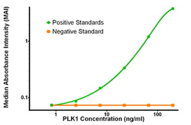 PLK1 Antibody in ELISA (ELISA)