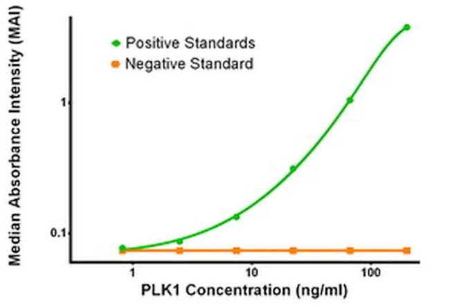 PLK1 Antibody in ELISA (ELISA)